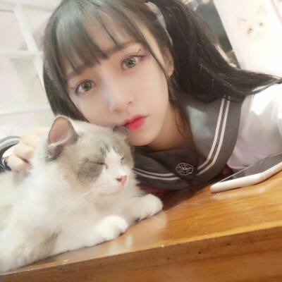 口袋妖怪3游戏下载